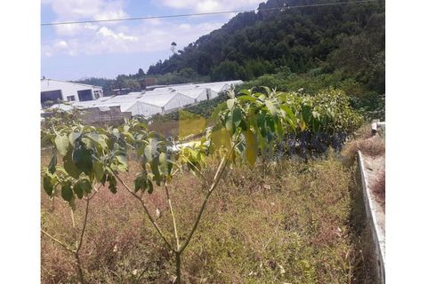 Helårsgrund i Sao Roque, Madeira, Sao Roque - € 300.000 | Ref: MPDL5041 - foto 3