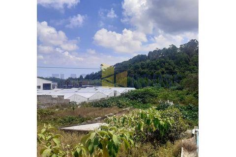 Helårsgrund i Sao Roque, Madeira, Sao Roque - € 300.000 | Ref: MPDL5041 - foto 4
