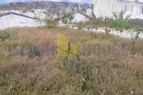 Helårsgrund i Sao Roque, Madeira, Sao Roque - € 300.000 | Ref: MPDL5041 - foto 5