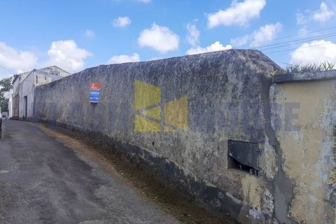 Helårsgrund i Sao Roque, Madeira, Sao Roque - € 300.000 | Ref: MPDL5041 - foto 6