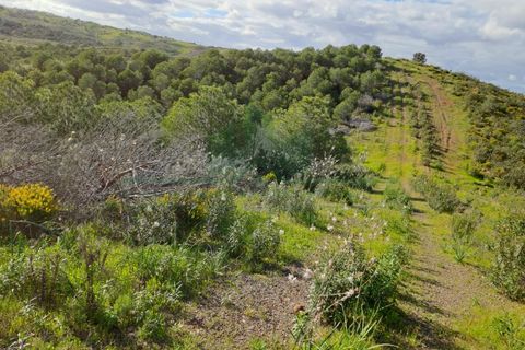 Helårsgrund i Castro Marim, Faro, Castro Marim - € 35.000 | Ref: 2001-144 - foto 2