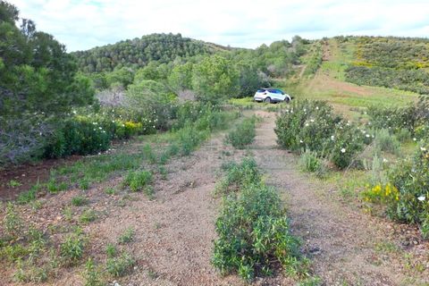 Helårsgrund i Castro Marim, Faro, Castro Marim - € 35.000 | Ref: 2001-144 - foto 11