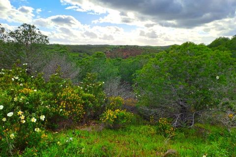 Helårsgrund i Castro Marim, Faro, Castro Marim - € 35.000 | Ref: 2001-144 - foto 19