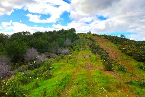 Helårsgrund i Castro Marim, Faro, Castro Marim - € 35.000 | Ref: 2001-144 - foto 20