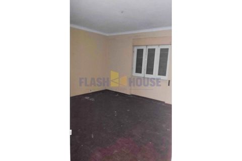 Tomt i Rabo de Peixe, Sao Miguel, Rabo de Peixe - € 317 500 | Ref: MPDM3019 - foto 42