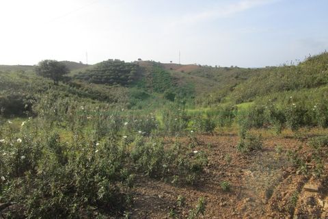 Helårsgrund i Castro Marim, Faro, Castro Marim - € 18.000 | Ref: 2001-102 - foto 5