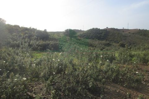 Helårsgrund i Castro Marim, Faro, Castro Marim - € 18.000 | Ref: 2001-102 - foto 6