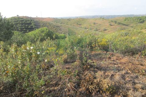Helårsgrund i Castro Marim, Faro, Castro Marim - € 18.000 | Ref: 2001-102 - foto 8