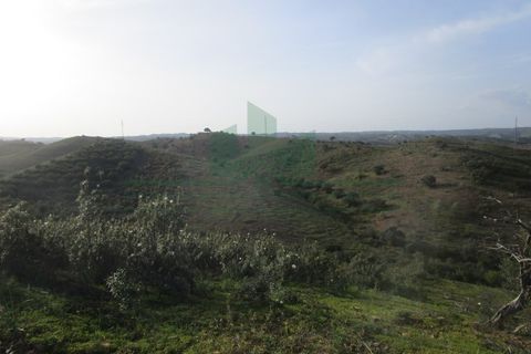 Helårsgrund i Castro Marim, Faro, Castro Marim - € 18.000 | Ref: 2001-102 - foto 12