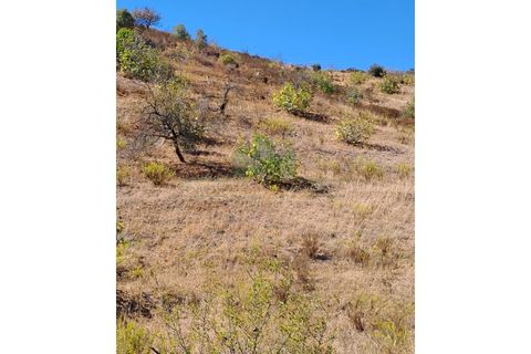 Helårsgrund i Castro Marim, Faro, Castro Marim - € 21.000 | Ref: 2001-111 - foto 3