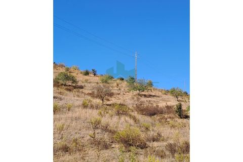 Helårsgrund i Castro Marim, Faro, Castro Marim - € 21.000 | Ref: 2001-111 - foto 5