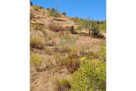 Helårsgrund i Castro Marim, Faro, Castro Marim - € 21.000 | Ref: 2001-111 - foto 6