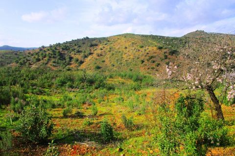 Helårsgrund i Odeleite, Faro, Odeleite - € 20.000 | Ref: 2001-132 - foto 1