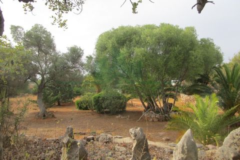 Villa i Tavira, Faro, Tavira - € 369.000 | Ref: 1001-230 - foto 2