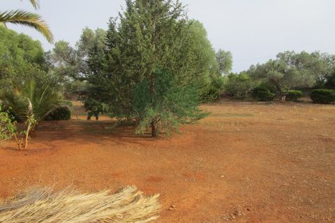 Villa i Tavira, Faro, Tavira - € 369.000 | Ref: 1001-230 - foto 3