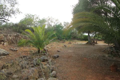 Villa i Tavira, Faro, Tavira - € 369.000 | Ref: 1001-230 - foto 4