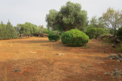 Villa i Tavira, Faro, Tavira - € 369.000 | Ref: 1001-230 - foto 6