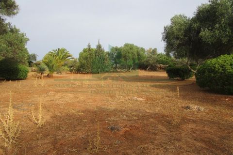 Villa i Tavira, Faro, Tavira - € 369.000 | Ref: 1001-230 - foto 7