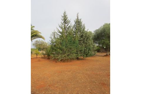 Villa i Tavira, Faro, Tavira - € 369.000 | Ref: 1001-230 - foto 10