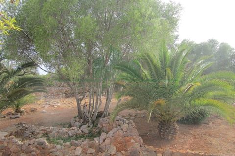 Villa i Tavira, Faro, Tavira - € 369.000 | Ref: 1001-230 - foto 15