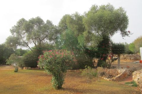 Villa i Tavira, Faro, Tavira - € 369.000 | Ref: 1001-230 - foto 16