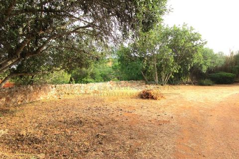 Villa i Tavira, Faro, Tavira - € 369.000 | Ref: 1001-230 - foto 42