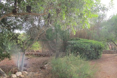 Villa i Tavira, Faro, Tavira - € 369.000 | Ref: 1001-230 - foto 45