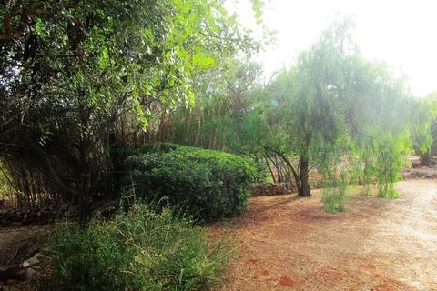 Villa i Tavira, Faro, Tavira - € 369.000 | Ref: 1001-230 - foto 46