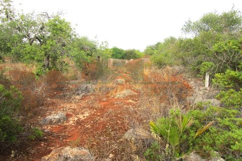 Villa i Tavira, Faro, Tavira - € 369.000 | Ref: 1001-230 - foto 47