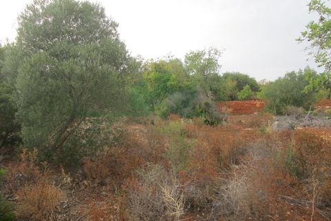 Villa i Tavira, Faro, Tavira - € 369.000 | Ref: 1001-230 - foto 49