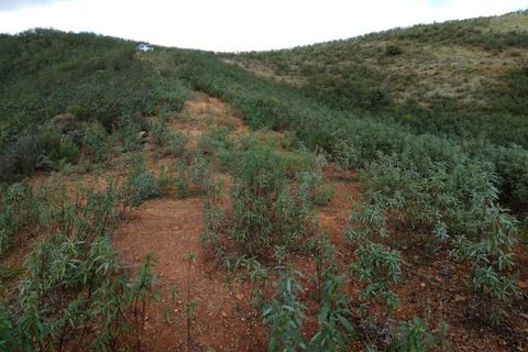 Helårsgrund i Castro Marim, Faro, Castro Marim - € 8.900 | Ref: 4001-030 - foto 2