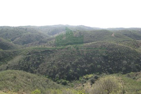 Helårsgrund i Castro Marim, Faro, Castro Marim - € 9.500 | Ref: 4001-018 - foto 11
