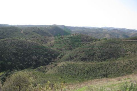 Helårsgrund i Castro Marim, Faro, Castro Marim - € 9.500 | Ref: 4001-018 - foto 13