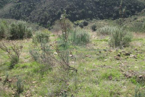 Helårsgrund i Castro Marim, Faro, Castro Marim - € 9.500 | Ref: 4001-018 - foto 15