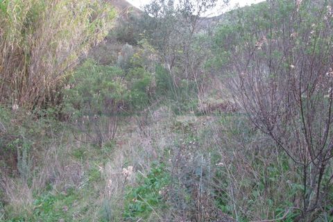 Helårsgrund i Castro Marim, Faro, Castro Marim - € 19.000 | Ref: 4001-012 - foto 3