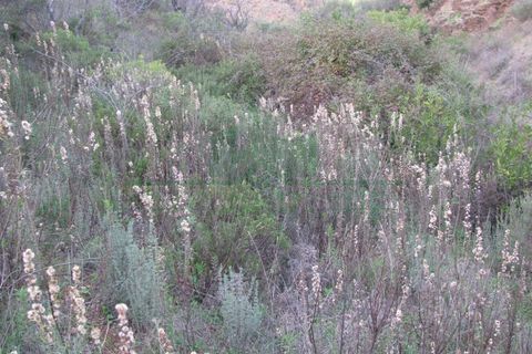 Helårsgrund i Castro Marim, Faro, Castro Marim - € 19.000 | Ref: 4001-012 - foto 4