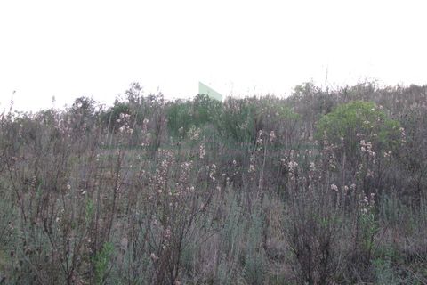 Helårsgrund i Castro Marim, Faro, Castro Marim - € 19.000 | Ref: 4001-012 - foto 5