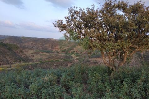 Helårsgrund i Castro Marim, Faro, Castro Marim - € 19.000 | Ref: 4001-012 - foto 6