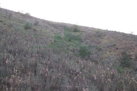 Helårsgrund i Castro Marim, Faro, Castro Marim - € 19.000 | Ref: 4001-012 - foto 9