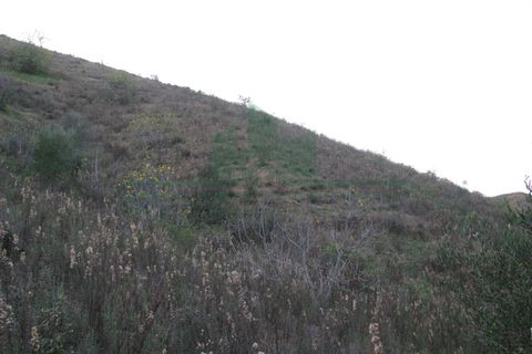 Helårsgrund i Castro Marim, Faro, Castro Marim - € 19.000 | Ref: 4001-012 - foto 12