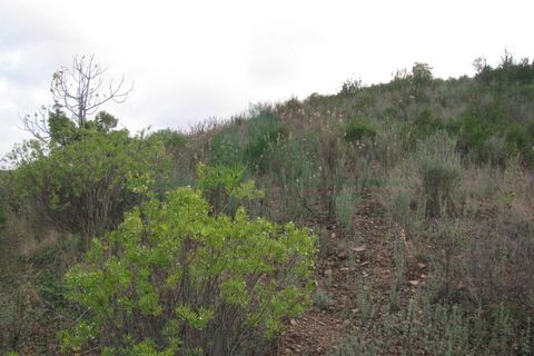 Helårsgrund i Castro Marim, Faro, Castro Marim - € 19.000 | Ref: 4001-012 - foto 13