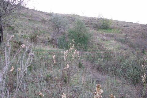 Helårsgrund i Castro Marim, Faro, Castro Marim - € 19.000 | Ref: 4001-012 - foto 14