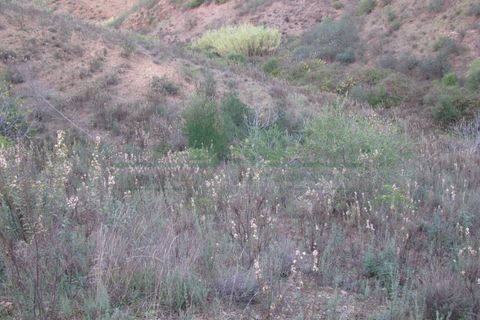 Helårsgrund i Castro Marim, Faro, Castro Marim - € 19.000 | Ref: 4001-012 - foto 15