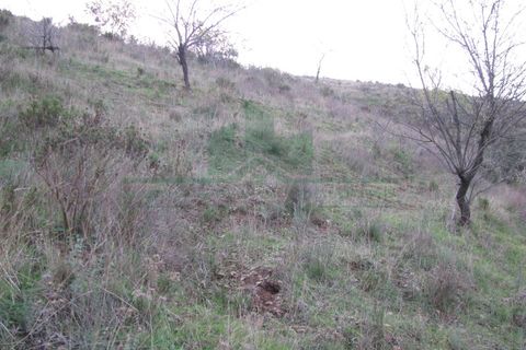 Helårsgrund i Castro Marim, Faro, Castro Marim - € 19.000 | Ref: 4001-012 - foto 16