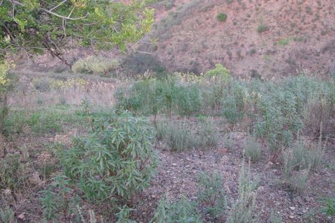 Helårsgrund i Castro Marim, Faro, Castro Marim - € 19.000 | Ref: 4001-012 - foto 18