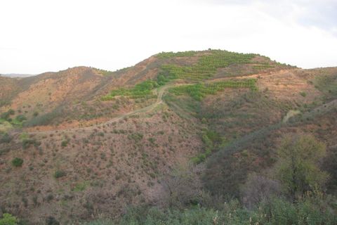 Helårsgrund i Castro Marim, Faro, Castro Marim - € 19.000 | Ref: 4001-012 - foto 19