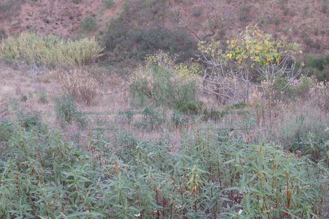Helårsgrund i Castro Marim, Faro, Castro Marim - € 19.000 | Ref: 4001-012 - foto 22