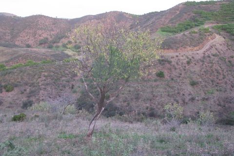 Helårsgrund i Castro Marim, Faro, Castro Marim - € 19.000 | Ref: 4001-012 - foto 25