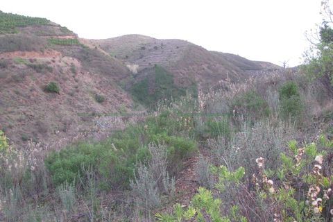 Helårsgrund i Castro Marim, Faro, Castro Marim - € 19.000 | Ref: 4001-012 - foto 29