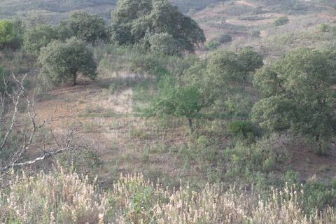 Helårsgrund i Castro Marim, Faro, Castro Marim - € 16.000 | Ref: 4001-010 - foto 2